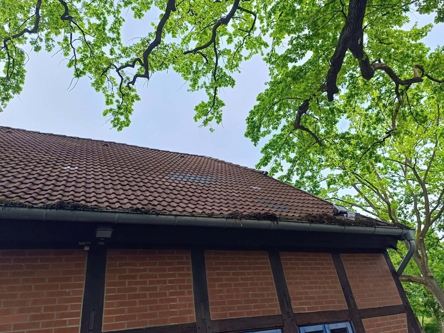 Gereinigtes Ziegeldach nach der Dachreinigung